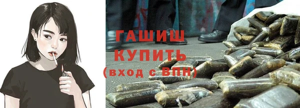 мдпв Богородицк