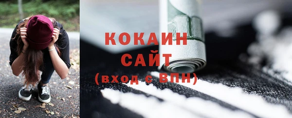 мдпв Богородицк