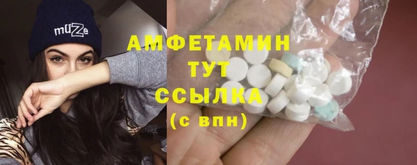 мдпв Богородицк