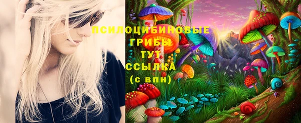 а пвп мука Богданович