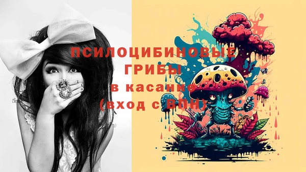 мдпв Богородицк