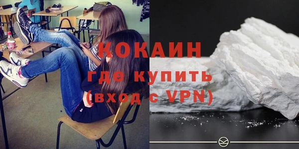 мдпв Богородицк