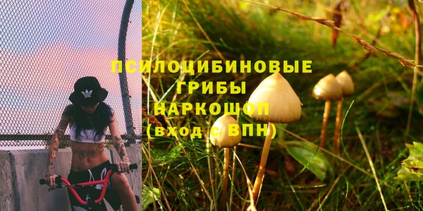 мдпв Богородицк