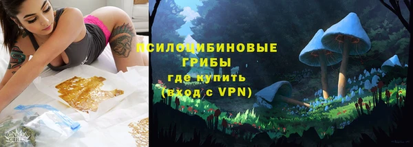 мдпв Богородицк