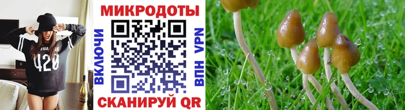 KRAKEN онион  даркнет телеграм  Галлюциногенные грибы Magic Shrooms  Иркутск 